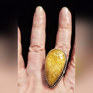 NWOT Fossilized Coral Ring, Handmade By Artisans, Polished Honey Gold, Sz. 8